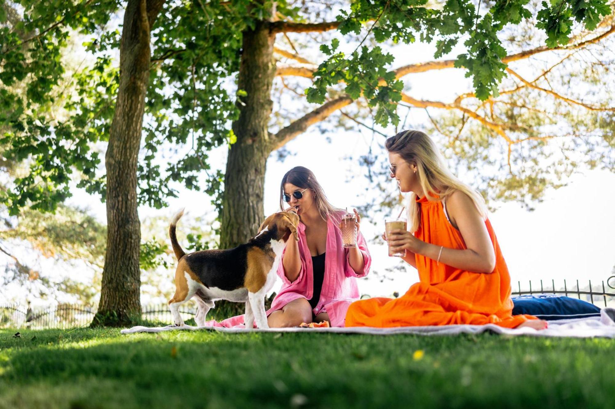 M2 Wellness & Parco vacanze *
